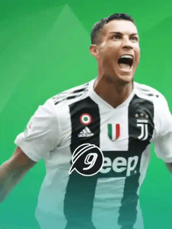 9Wickets ক্যাসিনো ও খেলাধুলা